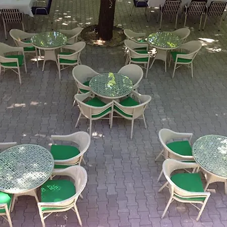 Oplenac Ξενοδοχείο 3*